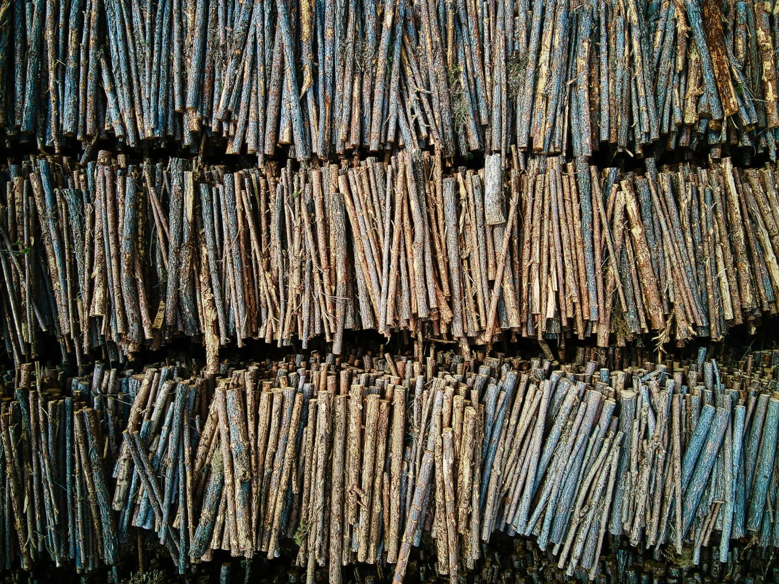 HR Isn’t Just Paperwork