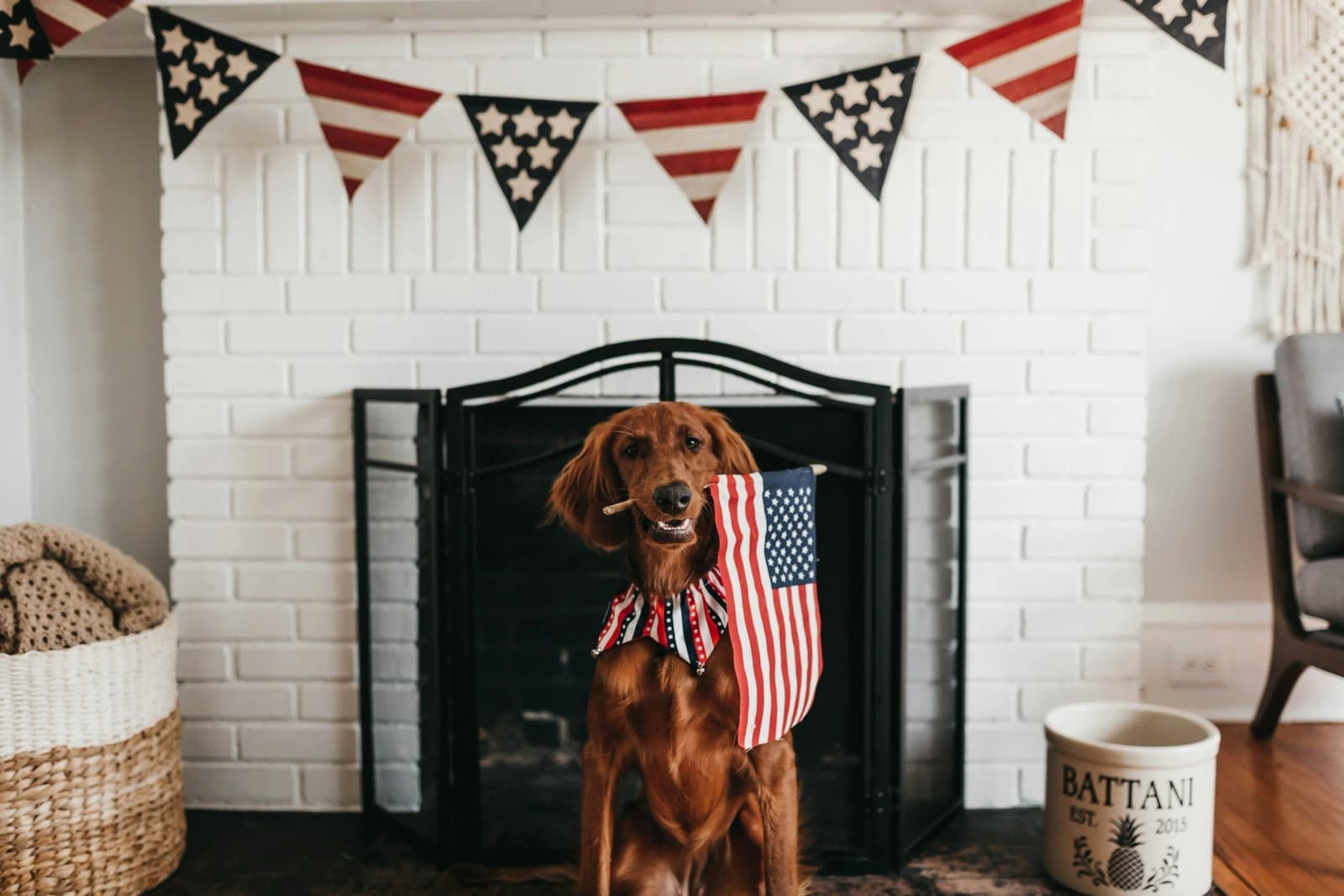 Let Freedom Ring