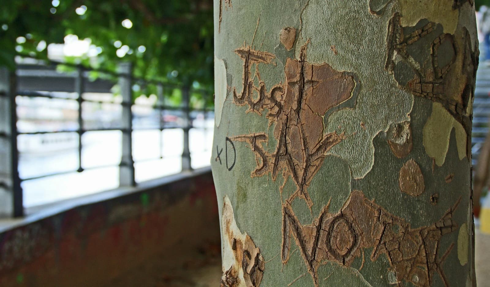 Sometimes Clarity Means Saying No (Even When It’s a Great Idea)