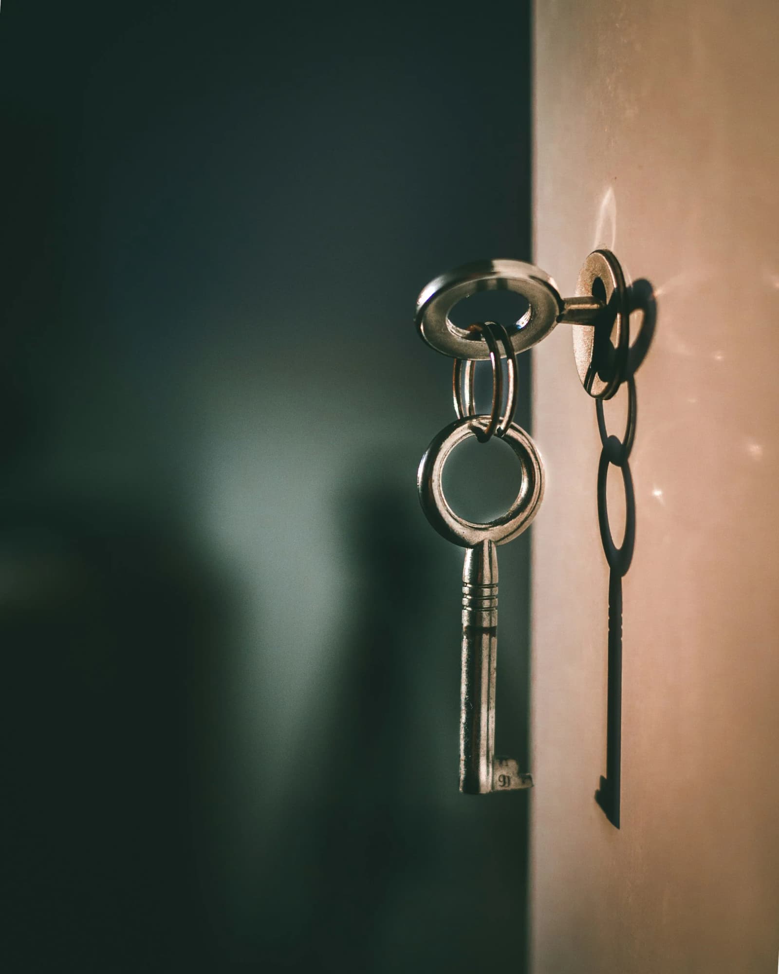 The Growth Engine: Why HR is the Key to Unlocking Startup Valuation