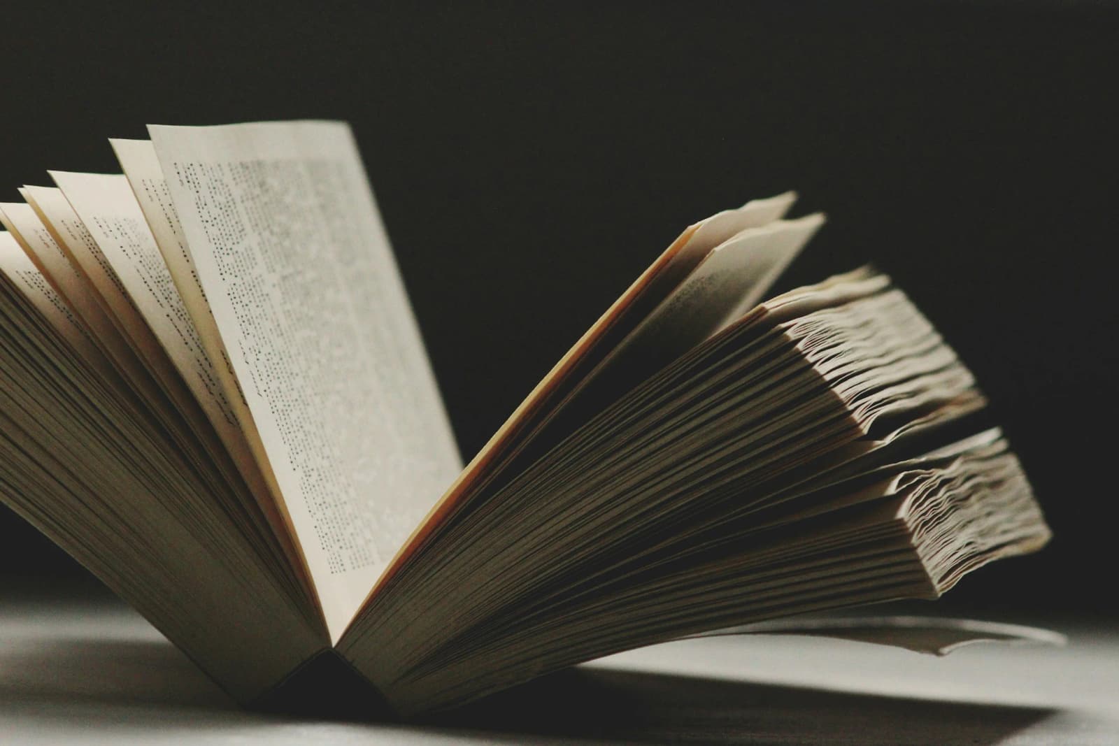 The Ultimate Leadership Guide: Everything Starts With You
